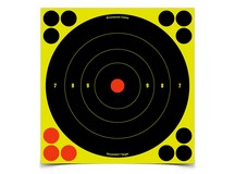 Birchwood Casey Shoot-N-C Targets, 8 inch Bullseye, 6 Targets + 24 Pasters 