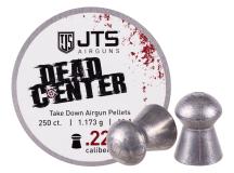 JTS Airguns JTS Dead Center Precision .22 Cal, 18.1 Grains, Domed, 250ct 
