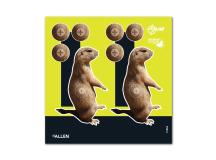 Allen Company EZ Aim Splash Prairie Dog Target, 8 inchx8 inch, 6-pack 