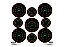 Birchwood Casey Dirty Bird Targets, 2 inch & 3 inch Targets, 180ct 