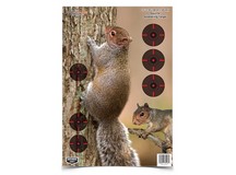 Birchwood Casey Pregame Squirrel Target, 12 inchx18 inch, 8ct 