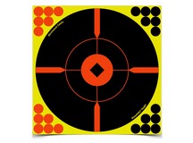 Birchwood Casey Shoot-N-C Targets, 8 inch Bullseye, 50 Targets + 200 Pasters 