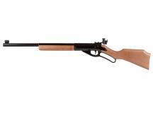 Avanti Daisy Match Grade Champion 499B Air rifle