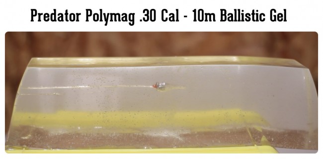 PolymagBallisticGel