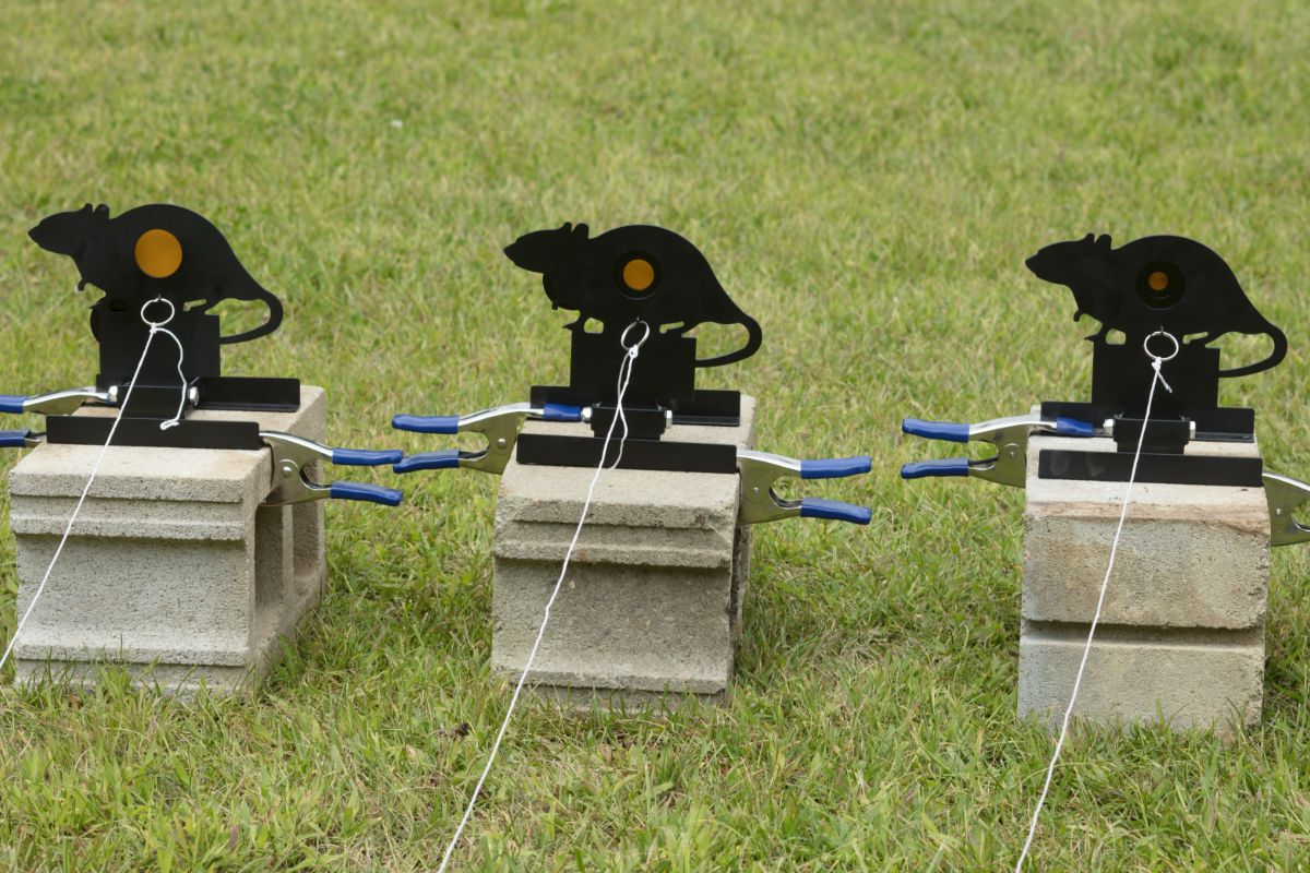 Field Target Rat Targets