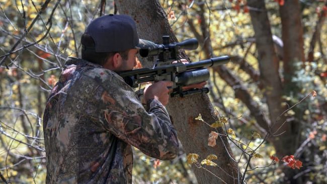 Airgun hunter takes aim