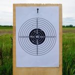 Airgun Target with a widespread group