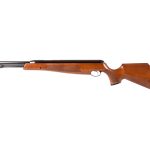 Air Arms TX 200 Hunter Carbine