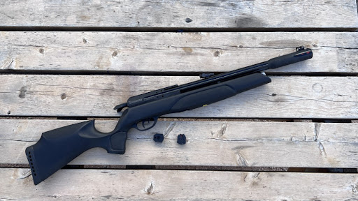 Gamo Arrow PCP Air Rifle