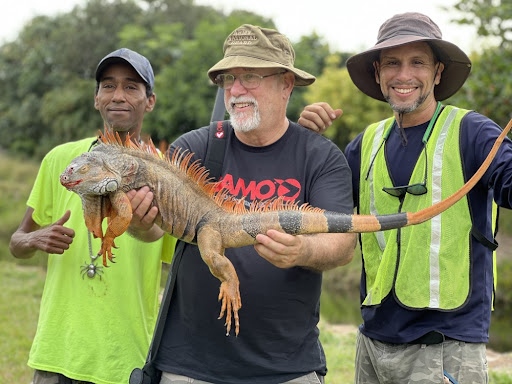 Iguana hunters holding a harvested iguana - hunt victory. 