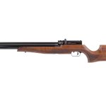 benjamin cayden pcp air rifle