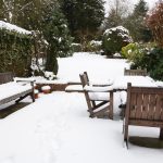 snow covered back yard