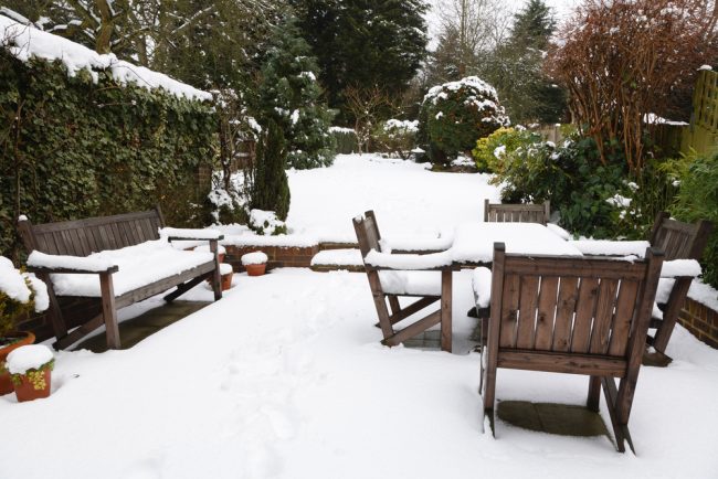 snow covered back yard